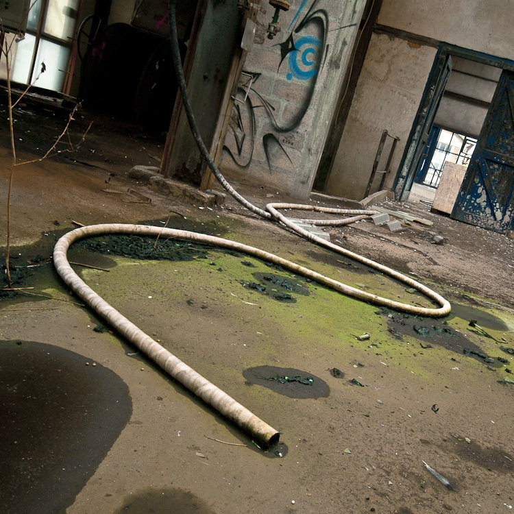 Le serpent Le site est classé SEVESO mais n'a pourtant pas été nettoyé avant sa fermeture définitive. Y était encore stocké des produits chimiques dangereux (acide, ammoniaque, colorant, ...)
