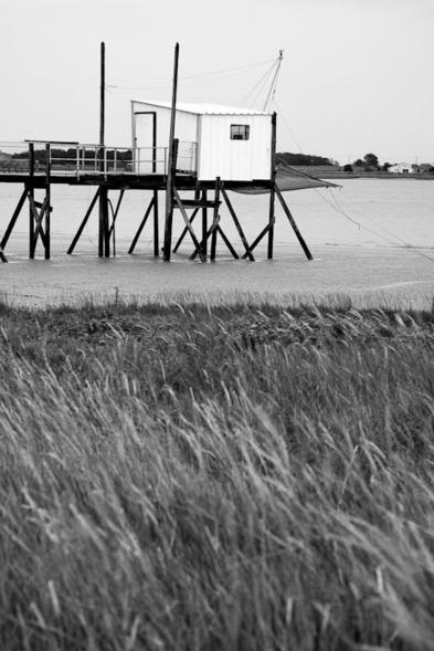 Cabane de pêcheur dans l'estuaire de la Charente