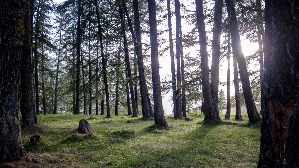 Dernier bivouac non loin du lac de Roue, Queyras